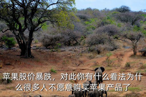蘋果股價(jià)暴跌，對(duì)此你有什么看法為什么很多人不愿意購(gòu)買蘋果產(chǎn)品了