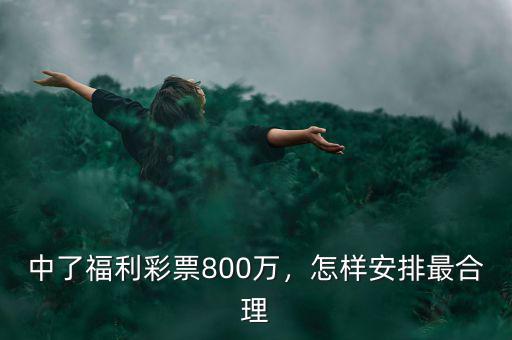 中了福利彩票800萬，怎樣安排最合理