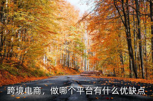 跨境電商，做哪個(gè)平臺(tái)有什么優(yōu)缺點(diǎn)