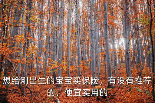 想給剛出生的寶寶買保險，有沒有推薦的，便宜實用的