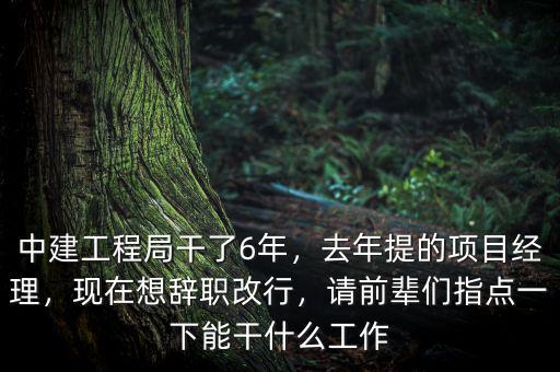 中建工程局干了6年，去年提的項目經(jīng)理，現(xiàn)在想辭職改行，請前輩們指點一下能干什么工作