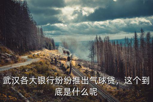 武漢各大銀行紛紛推出氣球貸，這個到底是什么呢