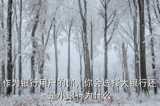 作為銀行用戶的你，你會(huì)選擇大銀行還是小銀行為什么