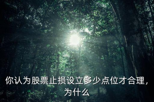 你認(rèn)為股票止損設(shè)立多少點(diǎn)位才合理，為什么