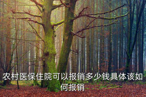 農(nóng)醫(yī)?，F(xiàn)在能報銷多少,具體該如何報銷