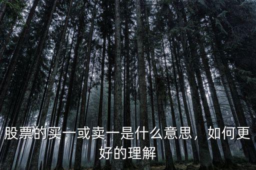 股票的買一或賣一是什么意思，如何更好的理解