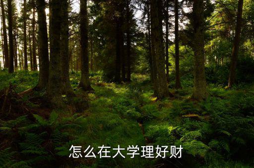 怎么在大學理好財