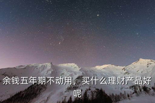 余錢五年期不動(dòng)用，買什么理財(cái)產(chǎn)品好呢