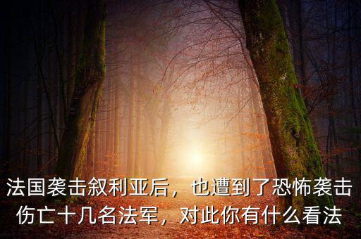 法國(guó)襲擊敘利亞后，也遭到了恐怖襲擊傷亡十幾名法軍，對(duì)此你有什么看法