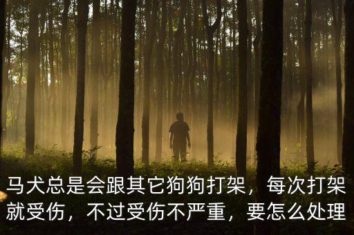馬犬總是會(huì)跟其它狗狗打架，每次打架就受傷，不過受傷不嚴(yán)重，要怎么處理