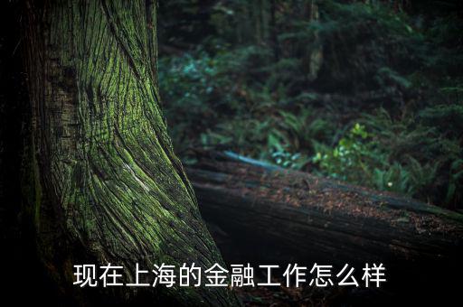上?；バ沤鹑谠趺礃?上海立信會計金融學(xué)院怎么樣