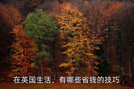 在英國生活，有哪些省錢的技巧