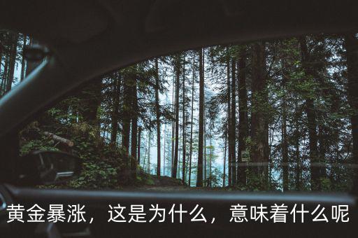 黃金暴漲，這是為什么，意味著什么呢