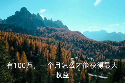 有100萬，一個月怎么才能獲得最大收益