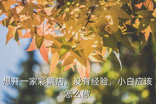 想開一家彩票店，沒有經(jīng)驗(yàn)，小白應(yīng)該怎么做