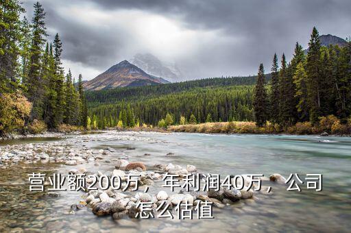 營業(yè)額200萬，年利潤40萬，公司怎么估值