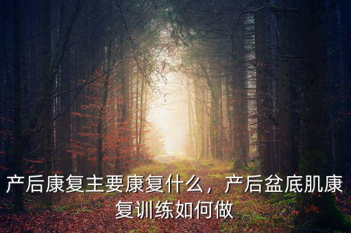 產(chǎn)后康復(fù)主要康復(fù)什么，產(chǎn)后盆底肌康復(fù)訓(xùn)練如何做