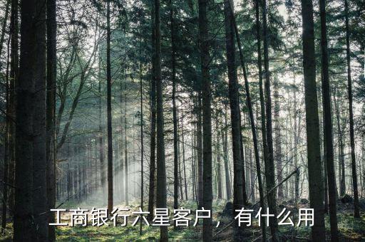 工商銀行六星客戶，有什么用