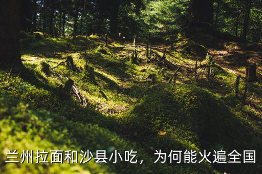 蘭州拉面和沙縣小吃，為何能火遍全國