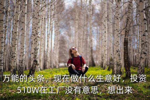 萬(wàn)能的頭條，現(xiàn)在做什么生意好，投資510W在工廠沒有意思，想出來(lái)