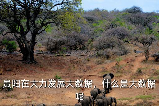 貴陽(yáng)在大力發(fā)展大數(shù)據(jù)，什么是大數(shù)據(jù)呢