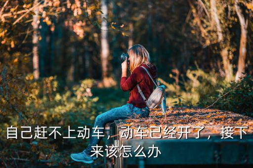 自己趕不上動(dòng)車，動(dòng)車已經(jīng)開了，接下來該怎么辦