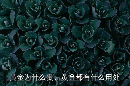 黃金為什么貴，黃金都有什么用處