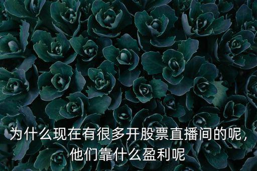 為什么現(xiàn)在有很多開股票直播間的呢，他們靠什么盈利呢