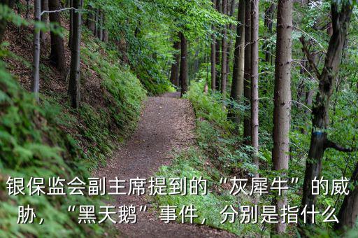 銀保監(jiān)會副主席提到的“灰犀牛”的威脅，“黑天鵝”事件，分別是指什么