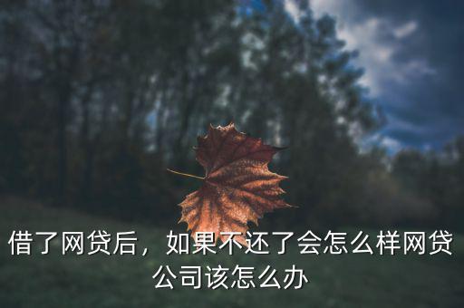 借了網(wǎng)貸后，如果不還了會(huì)怎么樣網(wǎng)貸公司該怎么辦