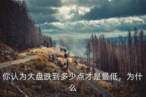 你認(rèn)為大盤(pán)跌到多少點(diǎn)才是最低，為什么