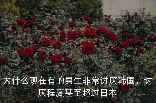 為什么現(xiàn)在有的男生非常討厭韓國，討厭程度甚至超過日本