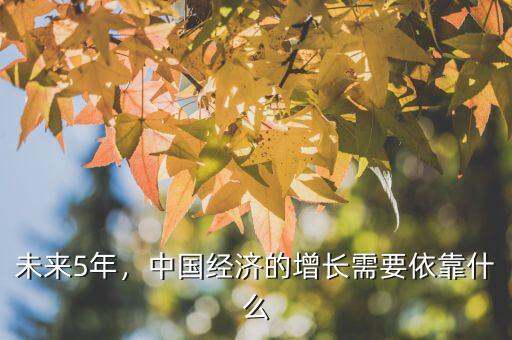 未來5年，中國經(jīng)濟(jì)的增長需要依靠什么