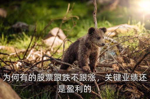為何有的股票跟跌不跟漲，關(guān)鍵業(yè)績還是盈利的