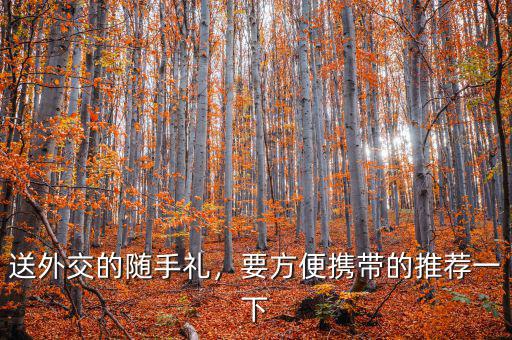 送外交的隨手禮，要方便攜帶的推薦一下