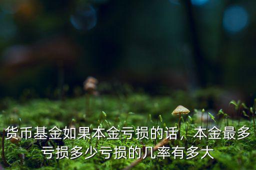 貨幣基金如果本金虧損的話，本金最多虧損多少虧損的幾率有多大