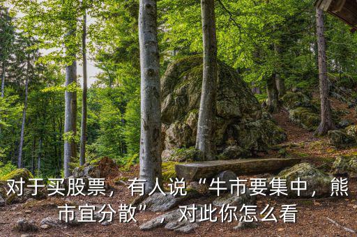 對于買股票，有人說“牛市要集中，熊市宜分散”，對此你怎么看