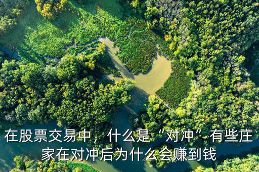 在股票交易中，什么是“對沖”有些莊家在對沖后為什么會賺到錢