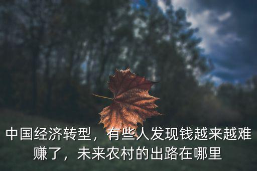 中國(guó)經(jīng)濟(jì)轉(zhuǎn)型，有些人發(fā)現(xiàn)錢越來(lái)越難賺了，未來(lái)農(nóng)村的出路在哪里