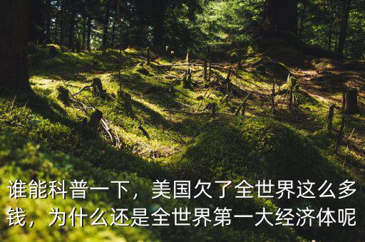 誰能科普一下，美國欠了全世界這么多錢，為什么還是全世界第一大經(jīng)濟體呢