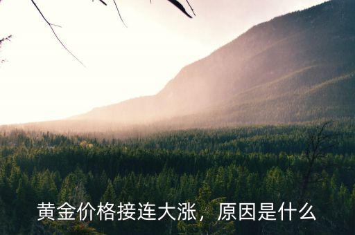 黃金價(jià)格接連大漲，原因是什么