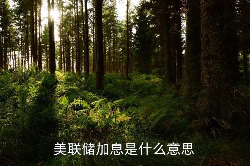 美聯(lián)儲什么時(shí)候宣布加息,美聯(lián)儲加息是什么意思