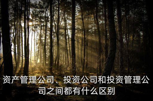 資產(chǎn)管理公司、投資公司和投資管理公司之間都有什么區(qū)別