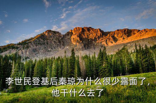 李世民登基后秦瓊為什么很少露面了，他干什么去了