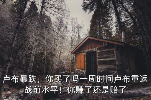 盧布暴跌，你買了嗎一周時(shí)間盧布重返戰(zhàn)前水平！你賺了還是賠了