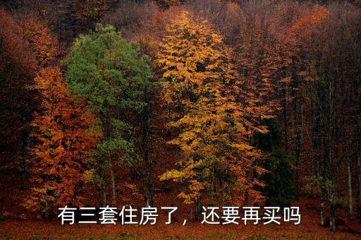 有三套住房了，還要再買嗎