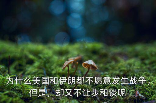 為什么美國和伊朗都不愿意發(fā)生戰(zhàn)爭，但是，卻又不讓步和談呢