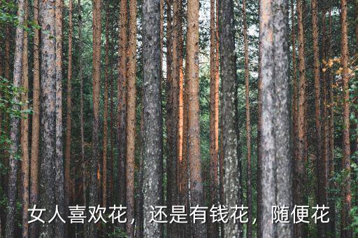 女人喜歡花，還是有錢(qián)花，隨便花
