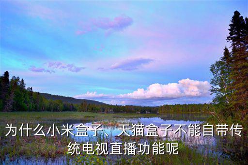 為什么小米盒子、天貓盒子不能自帶傳統(tǒng)電視直播功能呢
