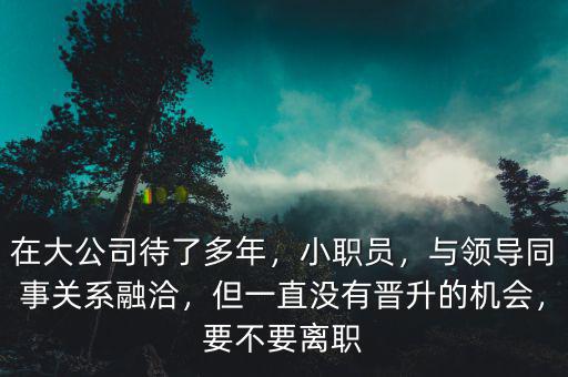 在大公司待了多年，小職員，與領(lǐng)導(dǎo)同事關(guān)系融洽，但一直沒有晉升的機(jī)會(huì)，要不要離職